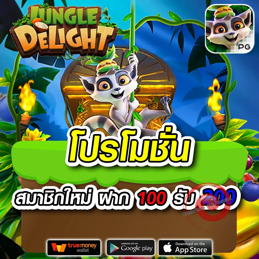 zane96 ทางเข้า